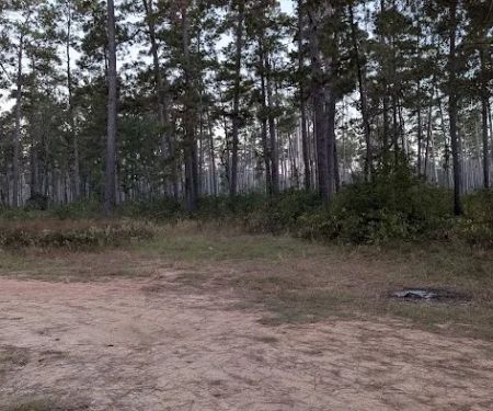 Shell Oil Road Hunter Camp