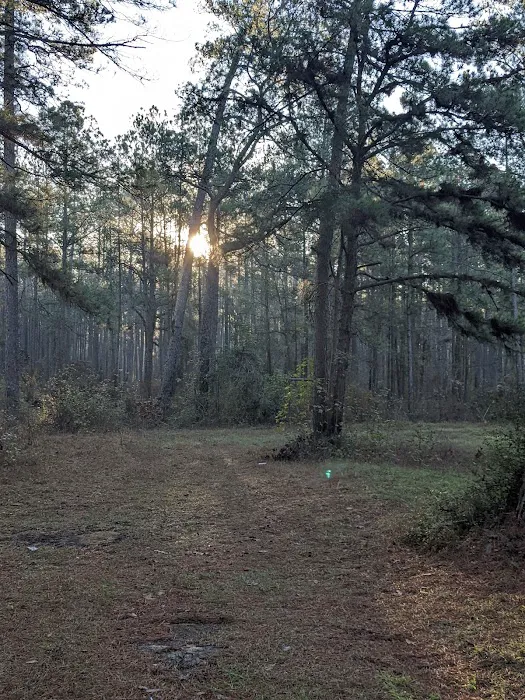 Shell Oil Road Hunter Camp Picture 5