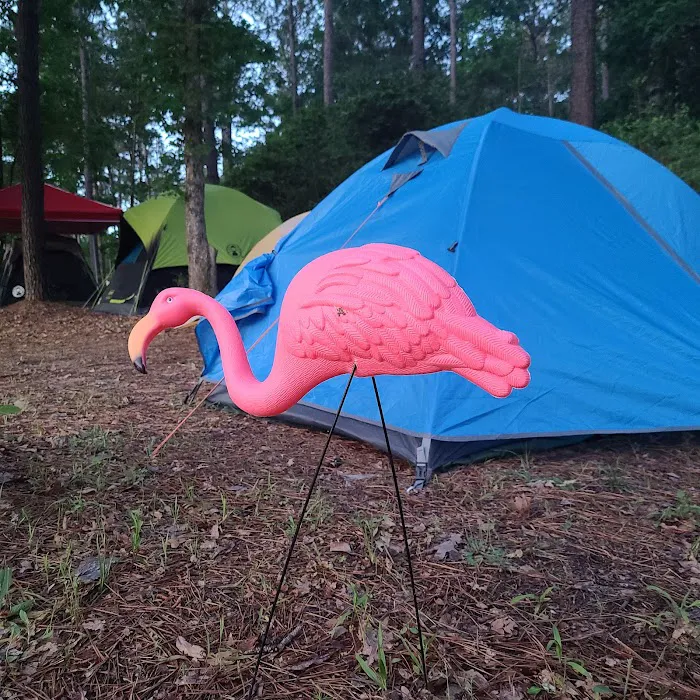 Camp Strake Campsite 3 Picture 1