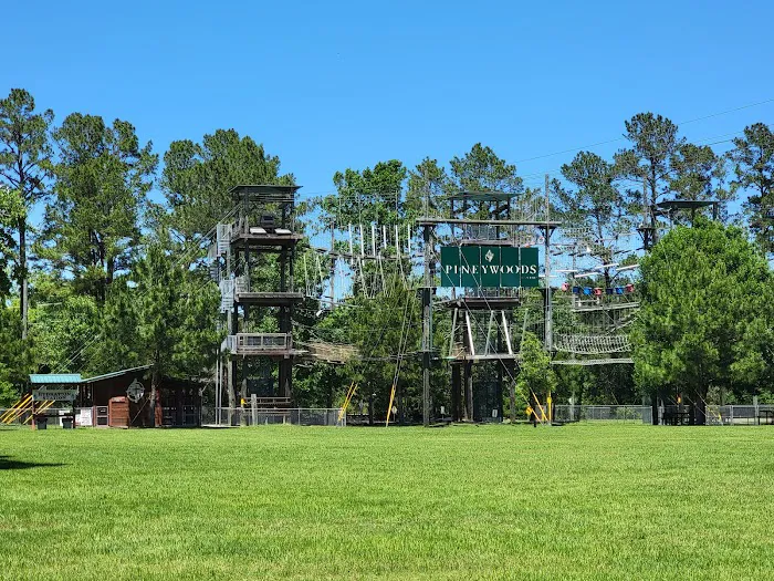 Pineywoods Camp Picture 1