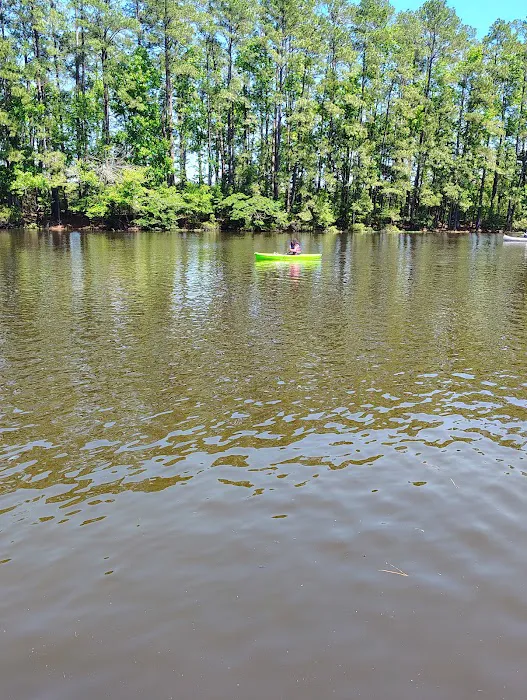 Pineywoods Camp Picture 3