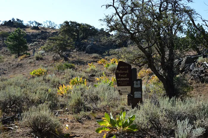 Pepperdine Equestrian Campground Picture 3