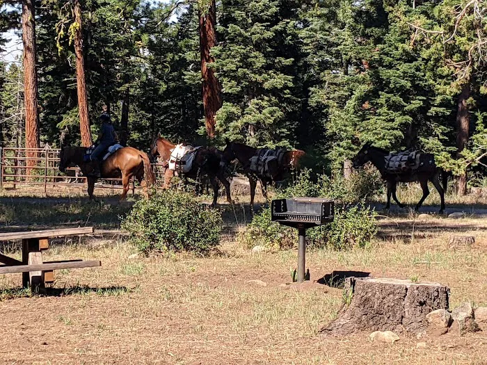 Pepperdine Equestrian Campground Picture 2