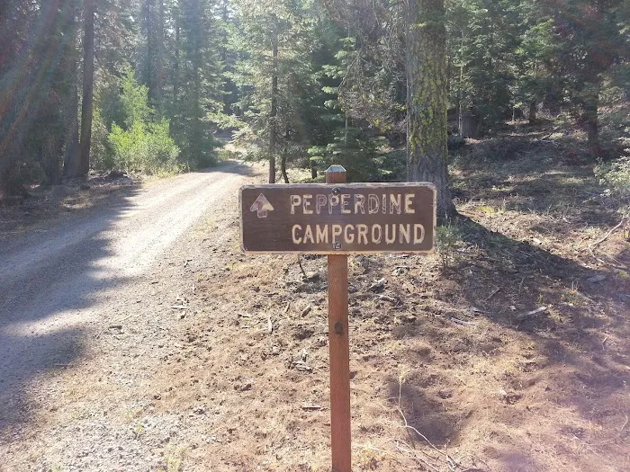 Pepperdine Equestrian Campground Picture 1