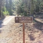 Pepperdine Equestrian Campground