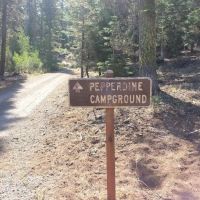 Pepperdine Equestrian Campground ico