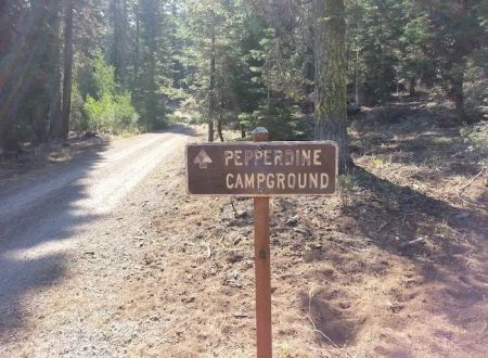 Pepperdine Equestrian Campground
