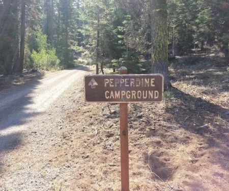 Pepperdine Equestrian Campground