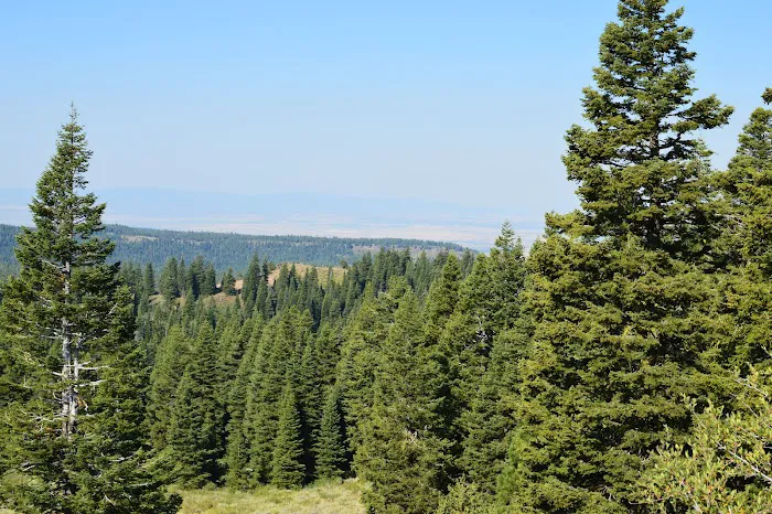 Pepperdine Equestrian Campground Picture 6