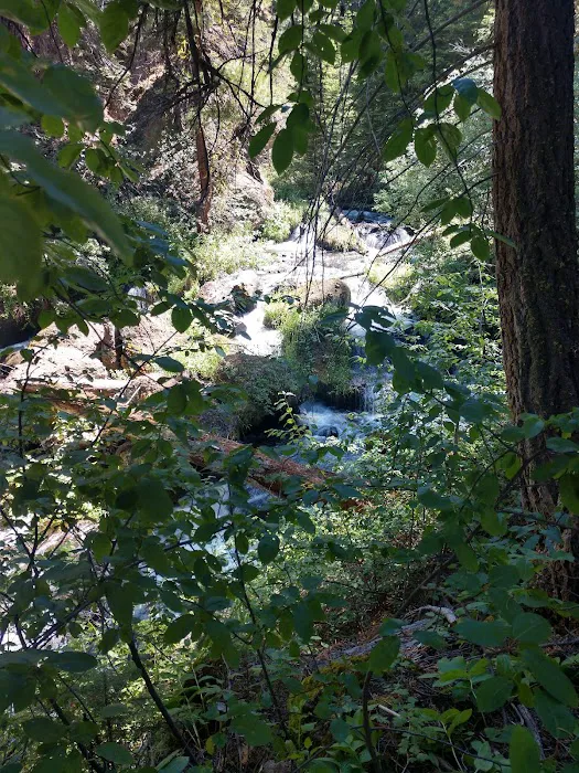 Mill Creek Falls Campground Picture 4