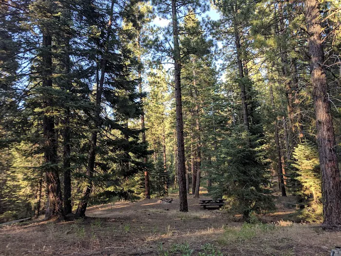 Mill Creek Falls Campground Picture 6