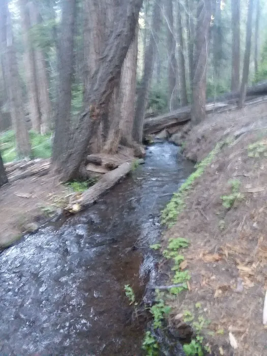 Mill Creek Falls Campground Picture 9