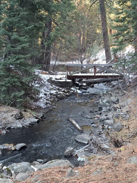 Mill Creek Falls Campground Picture 7