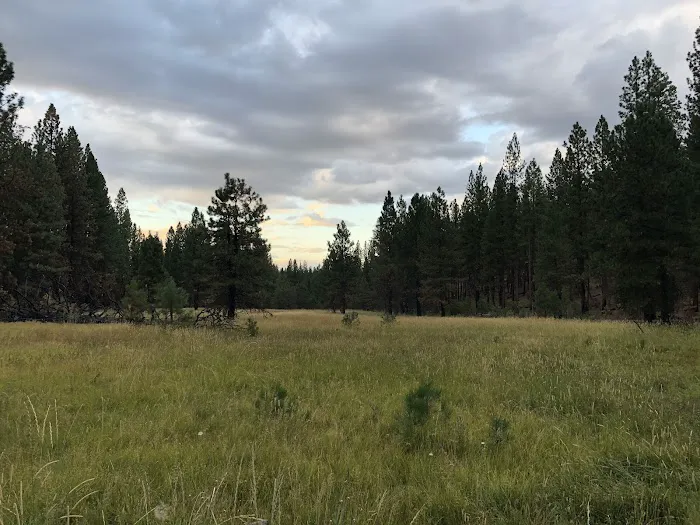 Cottonwood Flat Campground Picture 1