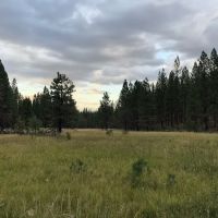 Cottonwood Flat Campground ico