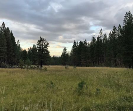 Cottonwood Flat Campground