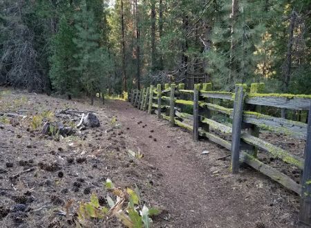 Upper Rush Creek Campground