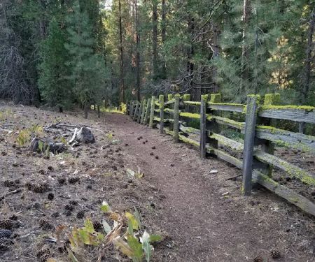 Upper Rush Creek Campground