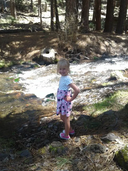 Lower Rush Creek Campground Picture 3