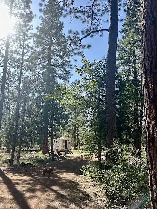 Lower Rush Creek Campground Picture 10