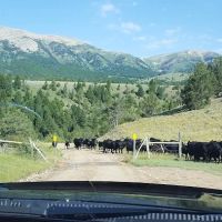 Cottonwood Campground ico