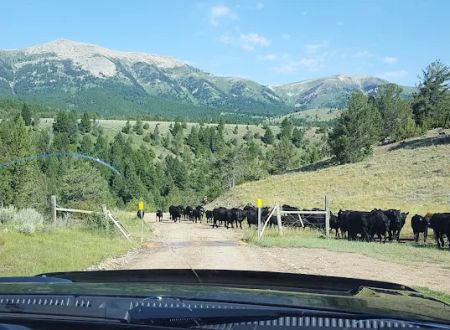 Cottonwood Campground