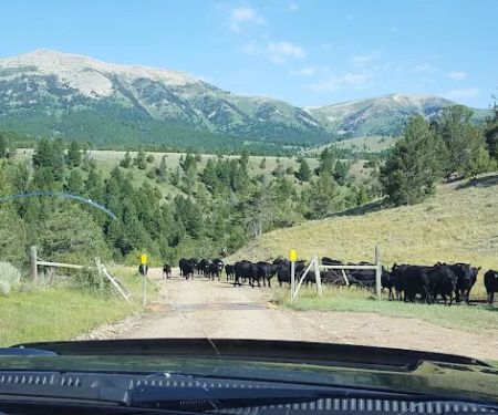 Cottonwood Campground