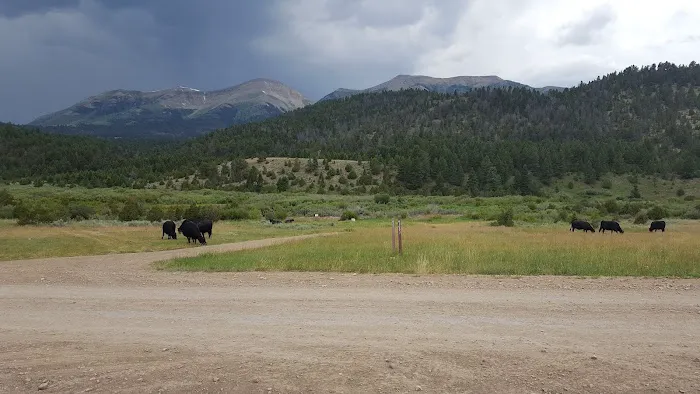 Cottonwood Campground Picture 3