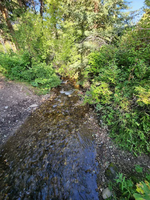 Bear Creek Campground and Picnic area Picture 10