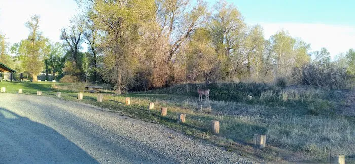 Indian Road Campground Picture 1