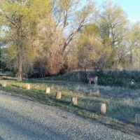 Indian Road Campground ico