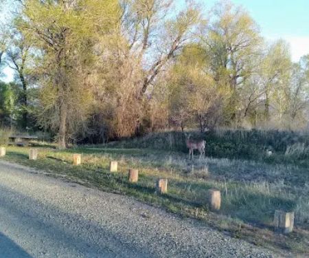 Indian Road Campground