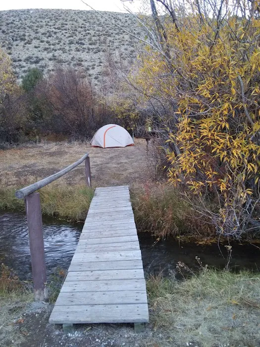 SMOKEY CUBS CAMPGROUND Picture 7