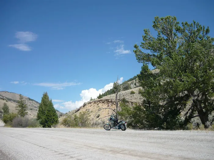 SMOKEY CUBS CAMPGROUND Picture 6