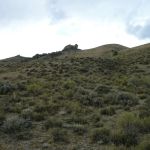 SMOKEY CUBS CAMPGROUND