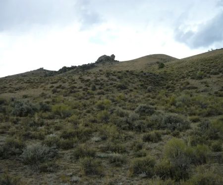 SMOKEY CUBS CAMPGROUND