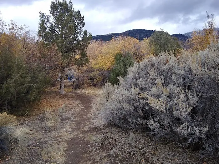 SMOKEY CUBS CAMPGROUND Picture 8