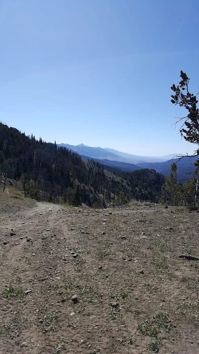 Timber Creek Campground Picture 2