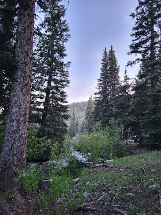 Timber Creek Campground Picture 4