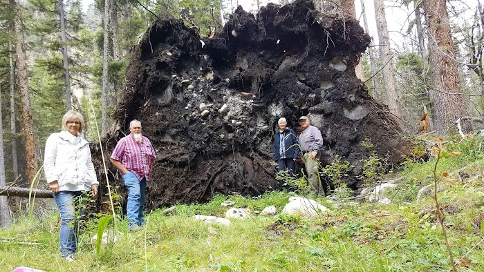 Timber Creek Campground Picture 3