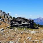 Timber Creek Campground
