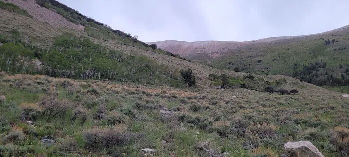 Timber Creek Campground Picture 10