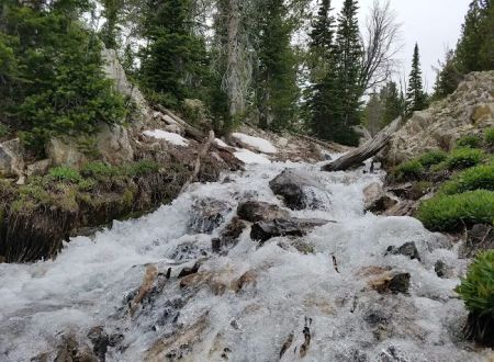 Meadow Lake Campground
