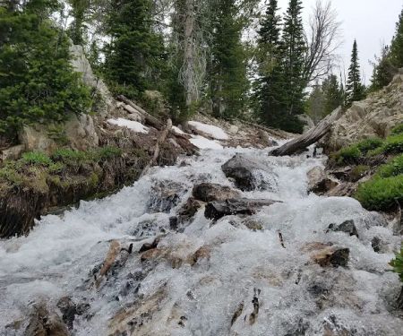 Meadow Lake Campground