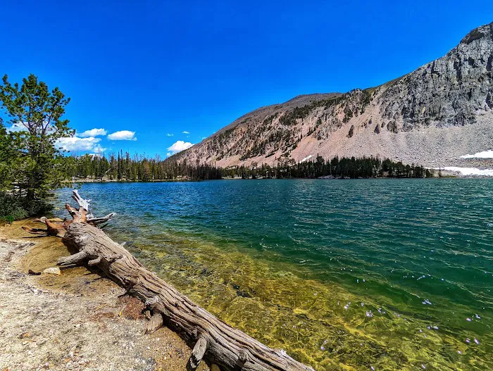 Meadow Lake Campground Picture 2