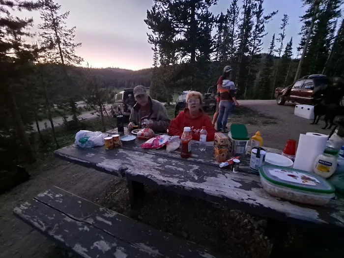 Big Bayhorse Campground Picture 7