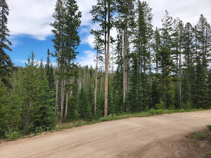 Big Bayhorse Campground Picture 6