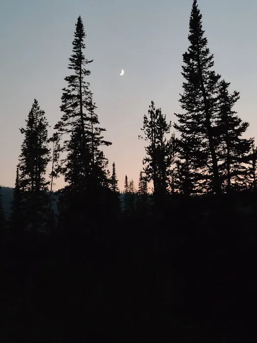 Big Bayhorse Campground Picture 2