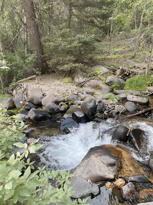 Big Bayhorse Campground Picture 5