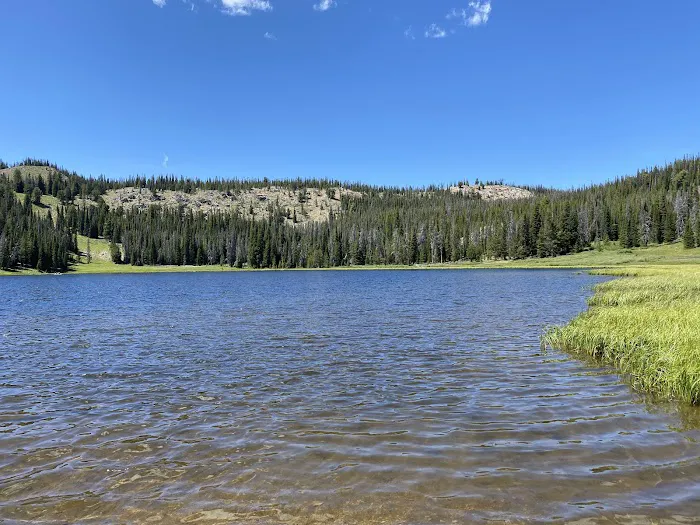 Big Bayhorse Campground Picture 9